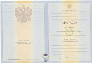 Диплом СВИВВ 2010-2011 годов